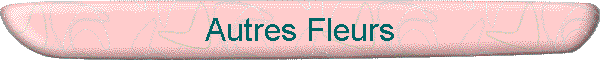Autres Fleurs