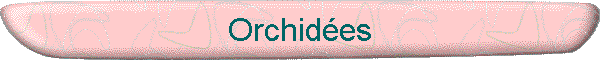 Orchides